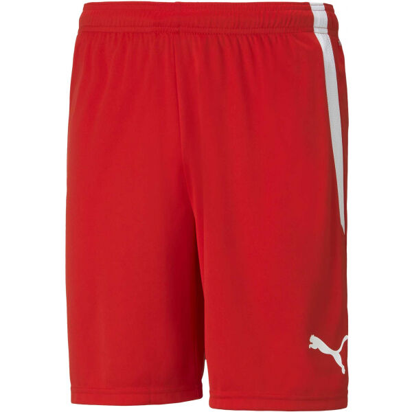 Puma TEAM LIGA SHORTS  S - Pánské šortky Puma