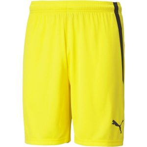 Puma TEAM LIGA SHORTS  L - P&aacute;nsk&eacute; &scaron;ortky Puma