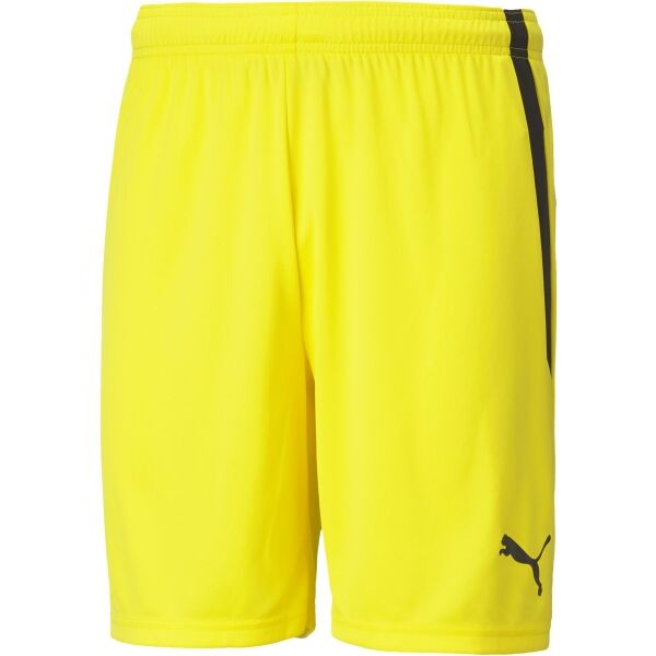 Puma TEAM LIGA SHORTS  L - Pánské šortky Puma