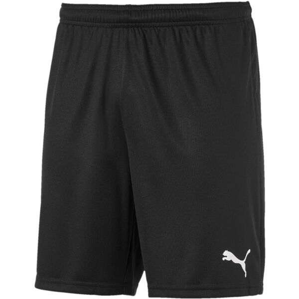 Puma TEAM GOAL 23 KNIT SHORTS Pánské kraťasy