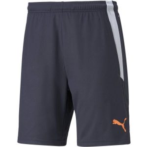 Puma TEAMLIGA TRAINING SHORTS 2 P&aacute;nsk&eacute; fotbalov&eacute; &scaron;ortky