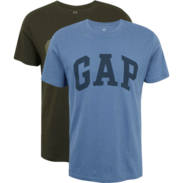 GAP V-INTX 2PK ARCH LOGO Pánské tričko