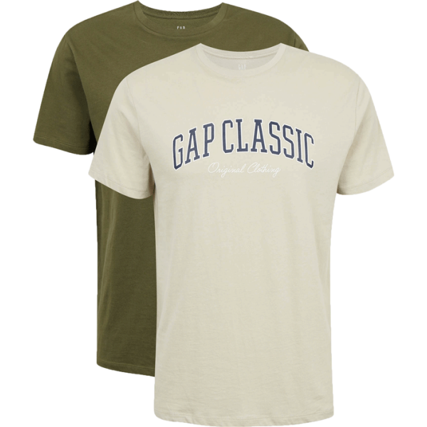 GAP V-INTX 2PK MIX LOGO TEE Pánské tričko