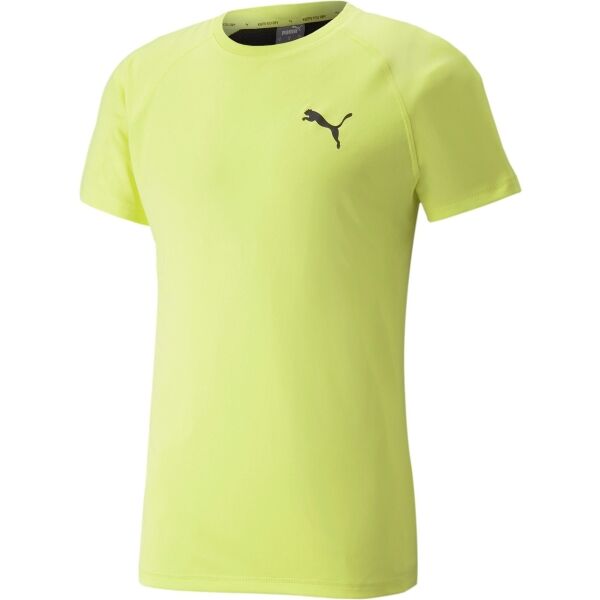 Puma RTG TEE Pánské sportovní triko