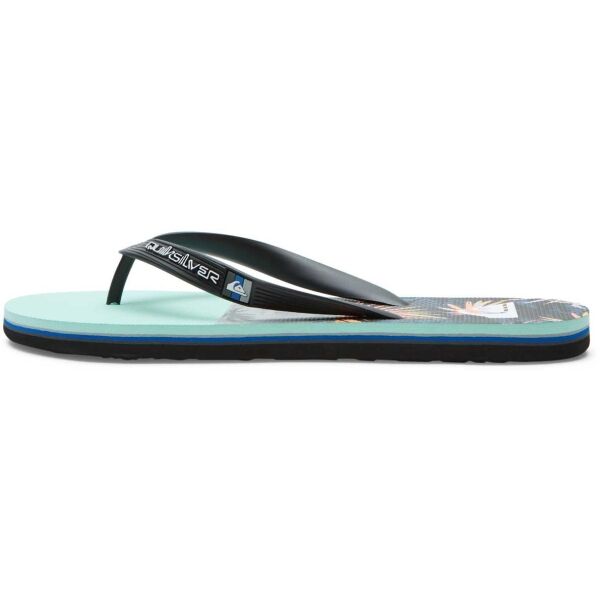 Quiksilver MOLOKAI PANEL Pánské žabky