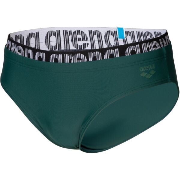 Arena ELASTIC LOGO Pánské plavky