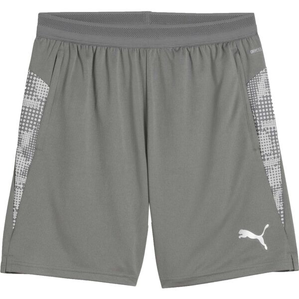 Puma TEAMCUP TRAINING SHORTS Pánské šortky