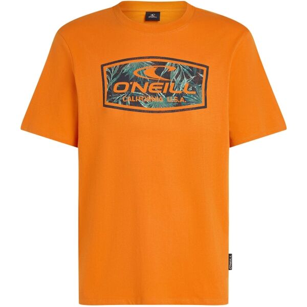 O'Neill GRAPHIC Pánské tričko