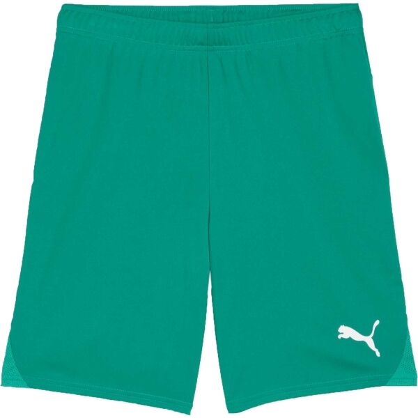 Puma TEAMGOAL SHORTS Pánské fotbalové šortky