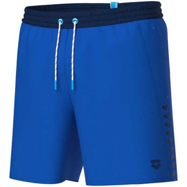 Arena TEAM STRIPE Pánské plavky