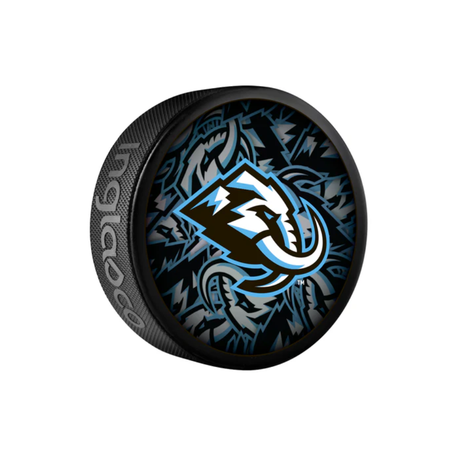 InGlasCo Fanouškovský puk NHL Clone Blister (1ks)